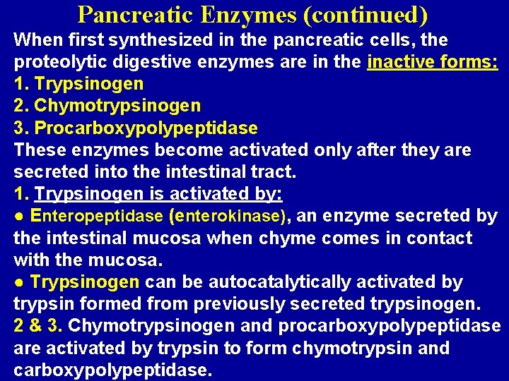 Pancreatic Enzymes (continued) When first synthesized in the pancreatic cells, the proteolytic digestive enzymes