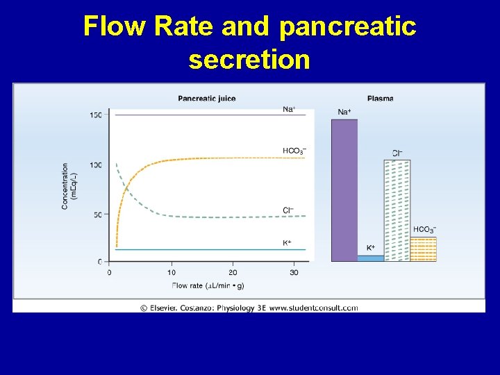 Flow Rate and pancreatic secretion 