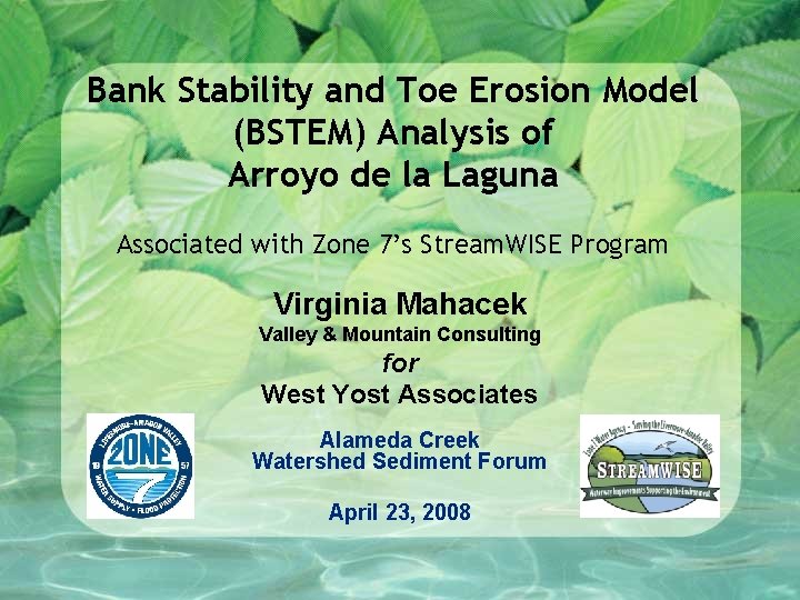 Bank Stability and Toe Erosion Model (BSTEM) Analysis of Arroyo de la Laguna Associated