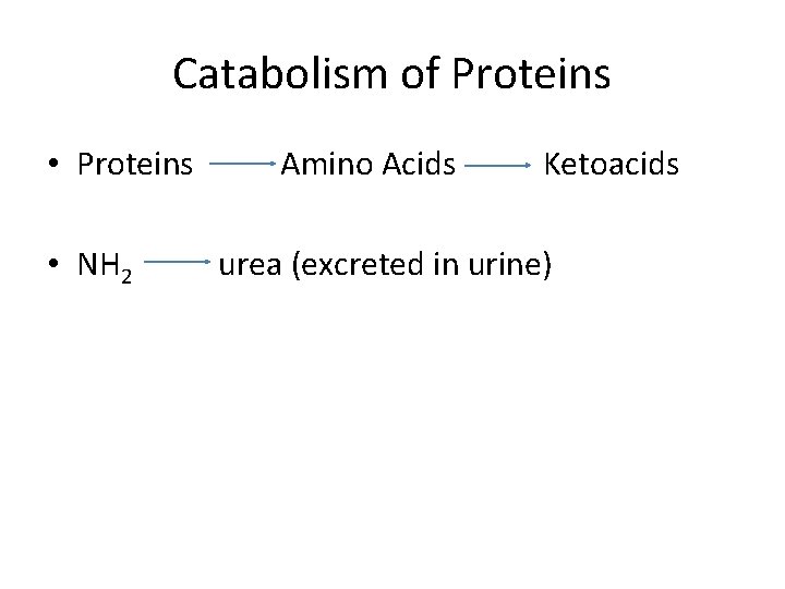 Catabolism of Proteins • NH 2 Amino Acids Ketoacids urea (excreted in urine) 
