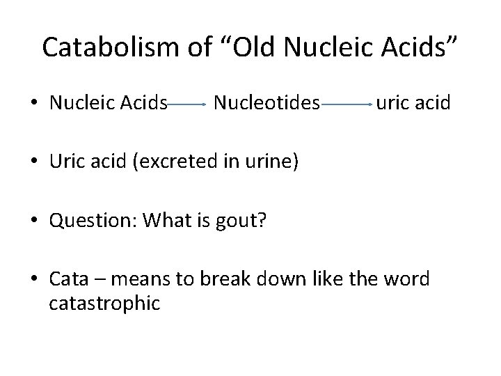 Catabolism of “Old Nucleic Acids” • Nucleic Acids Nucleotides uric acid • Uric acid