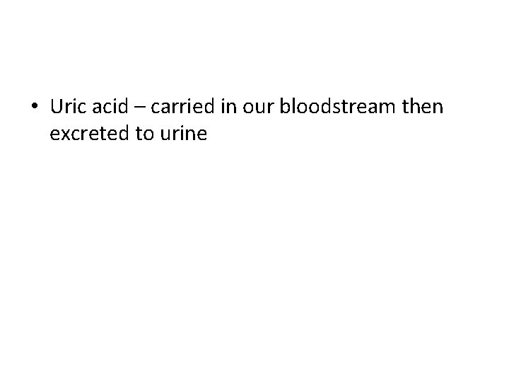  • Uric acid – carried in our bloodstream then excreted to urine 