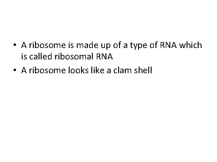  • A ribosome is made up of a type of RNA which is