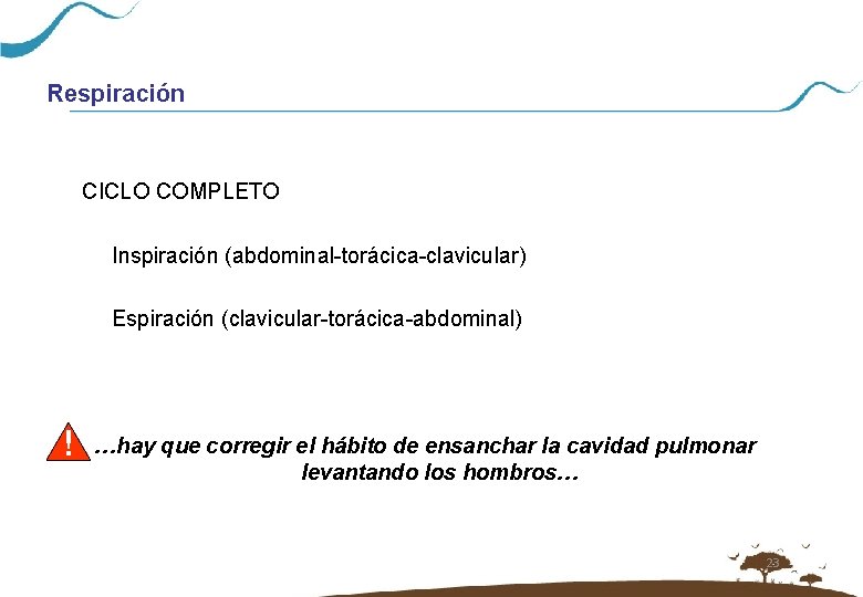 Respiración CICLO COMPLETO Inspiración (abdominal-torácica-clavicular) Espiración (clavicular-torácica-abdominal) ! …hay que corregir el hábito de