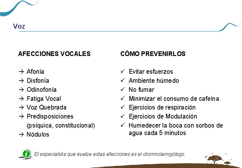 Voz AFECCIONES VOCALES CÓMO PREVENIRLOS à à à ü ü ü ü Afonía Disfonía