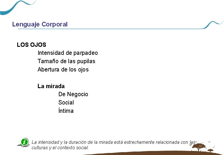 Lenguaje Corporal LOS OJOS Intensidad de parpadeo Tamaño de las pupilas Abertura de los