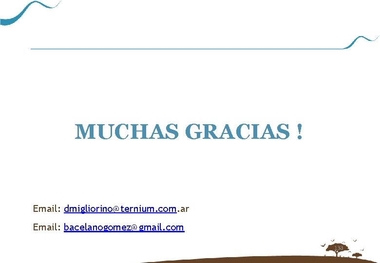 MUCHAS GRACIAS ! Email: dmigliorino@ternium. com. ar Email: bacelanogomez@gmail. com 133 