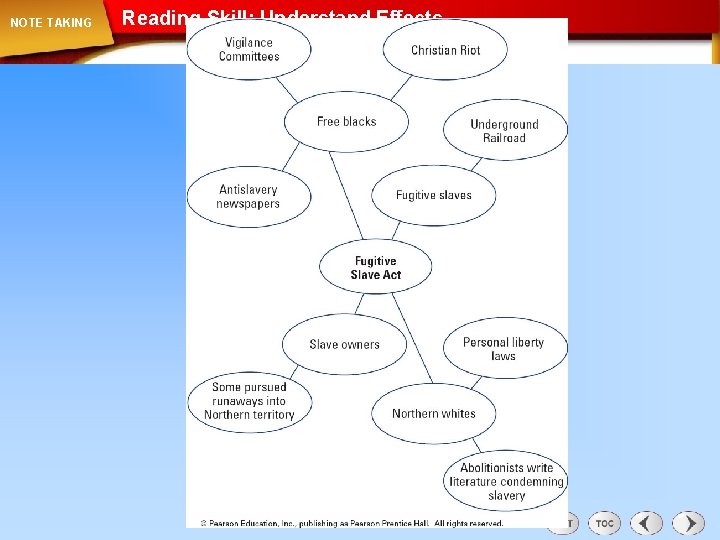 NOTE TAKING Reading Skill: Understand Effects 