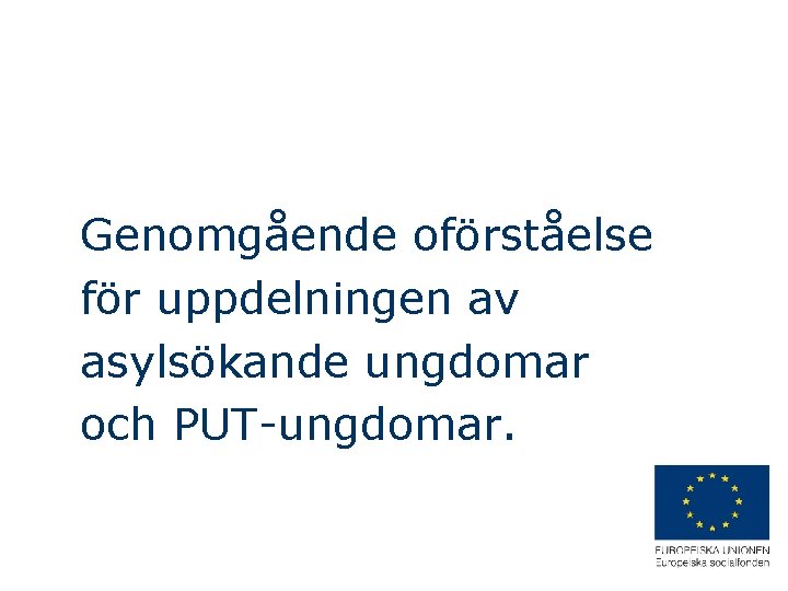 Genomgående oförståelse för uppdelningen av asylsökande ungdomar och PUT-ungdomar. 