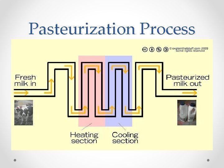 Pasteurization Process 