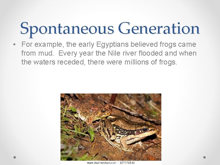 Spontaneous Generation • For example, the early Egyptians believed frogs came from mud. Every