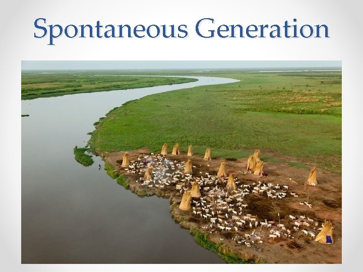 Spontaneous Generation 
