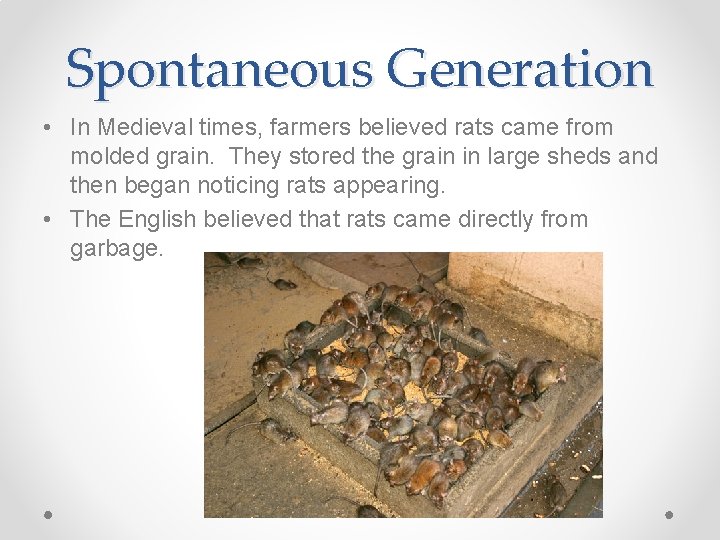 Spontaneous Generation • In Medieval times, farmers believed rats came from molded grain. They
