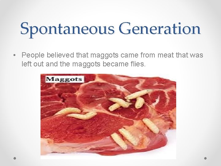 Spontaneous Generation • People believed that maggots came from meat that was left out