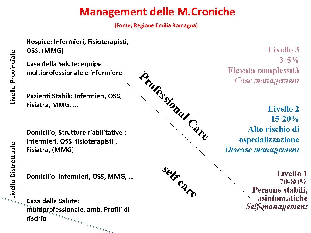 Management delle M. Croniche Livello Distrettuale Livello Provinciale (Fonte; Regione Emilia Romagna) Hospice: Infermieri,