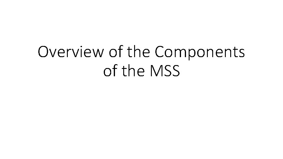 Overview of the Components of the MSS 