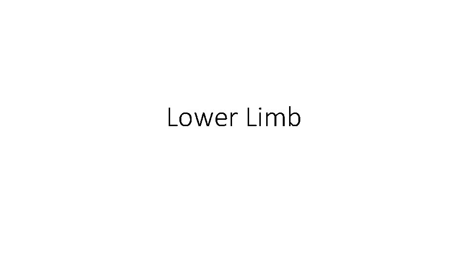 Lower Limb 