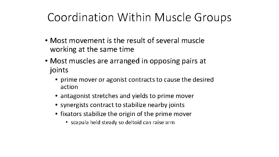 Coordination Within Muscle Groups • Most movement is the result of several muscle working