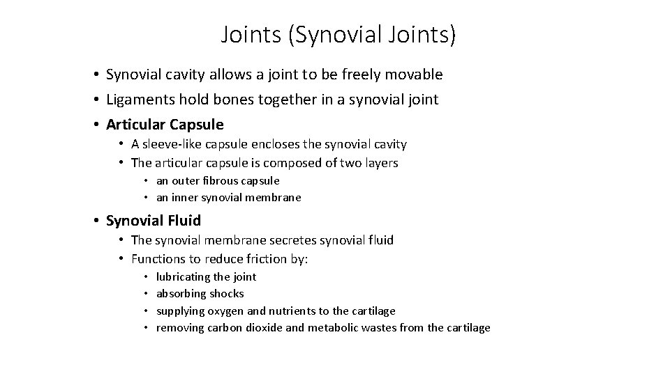 Joints (Synovial Joints) • Synovial cavity allows a joint to be freely movable •