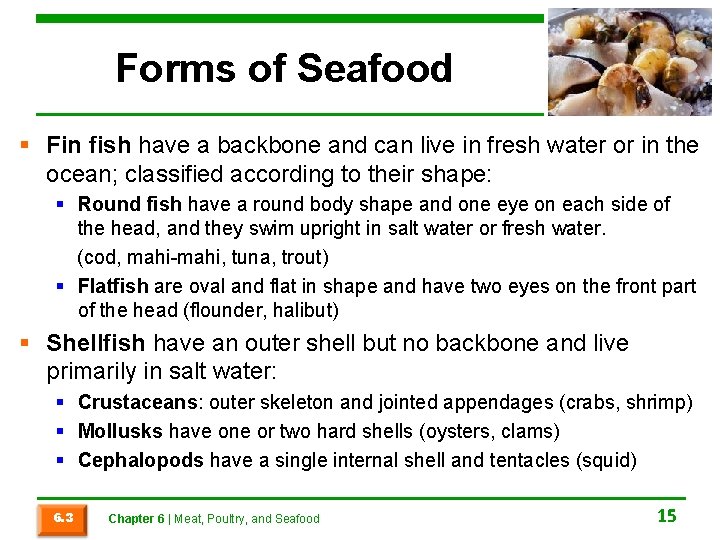 Forms of Seafood § Fin fish have a backbone and can live in fresh