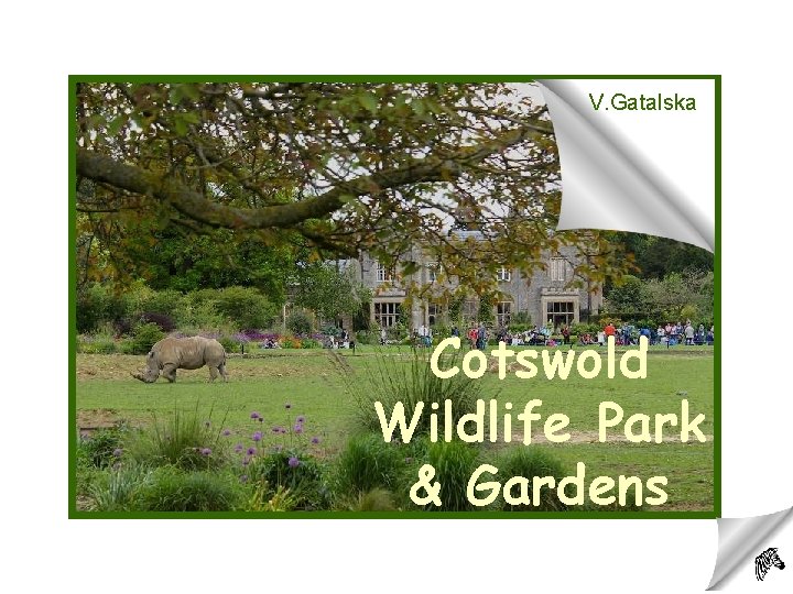 V. Gatalska Cotswold Wildlife Park & Gardens 