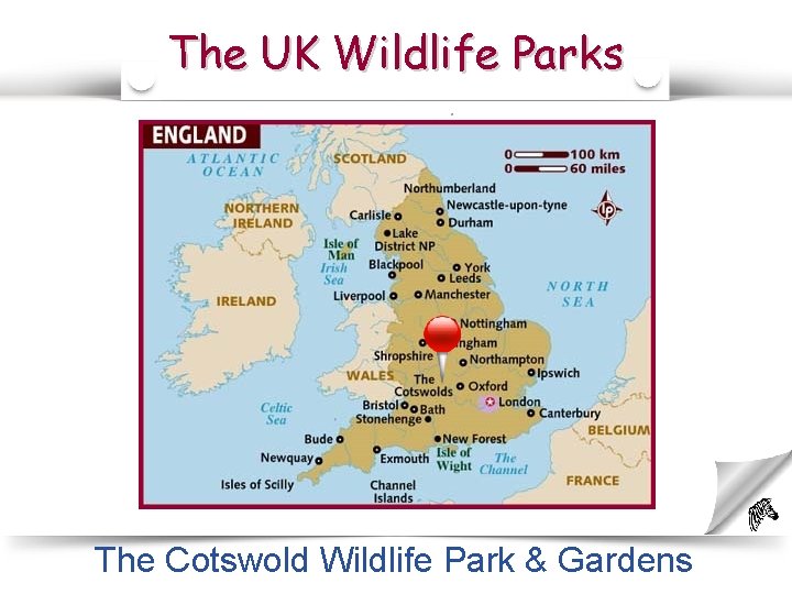 The UK Wildlife Parks Oxford The Cotswold Wildlife Park & Gardens 