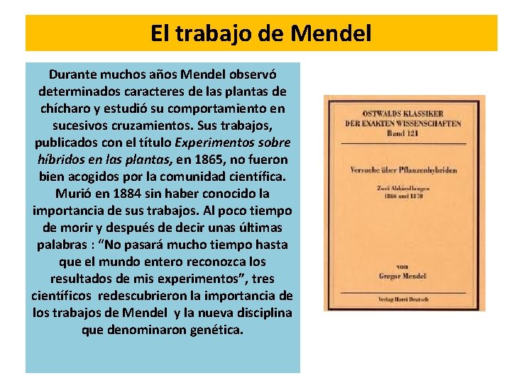El trabajo de Mendel Durante muchos años Mendel observó determinados caracteres de las plantas