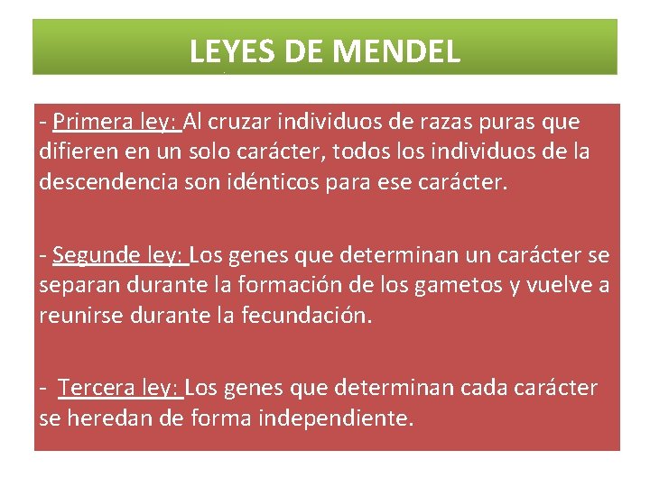 LEYES DE MENDEL - Primera ley: Al cruzar individuos de razas puras que difieren