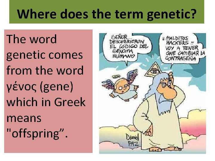 Where does the term genetic? The word genetic comes from the word γένος (gene)