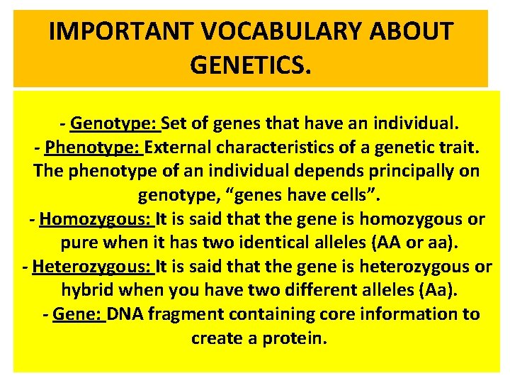 IMPORTANT VOCABULARY ABOUT GENETICS. - Genotype: Set of genes that have an individual. -