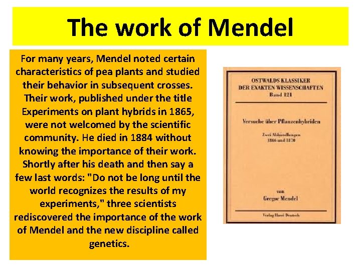 The work of Mendel For many years, Mendel noted certain characteristics of pea plants