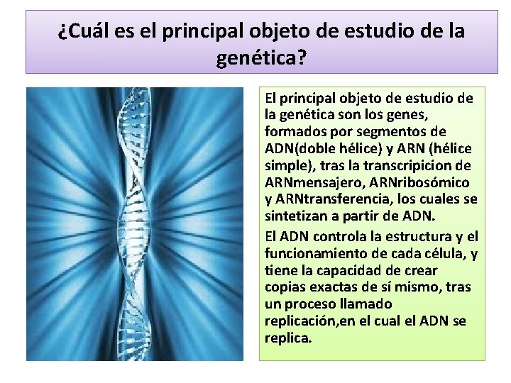 ¿Cuál es el principal objeto de estudio de la genética? El principal objeto de