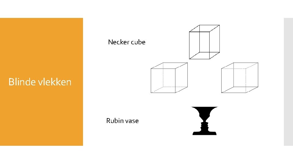 Necker cube Blinde vlekken Rubin vase Necker cube Blinde vlekken Rubin vase