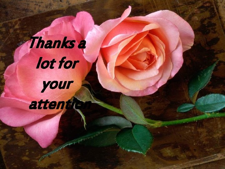 Thanks a lot for your attention 