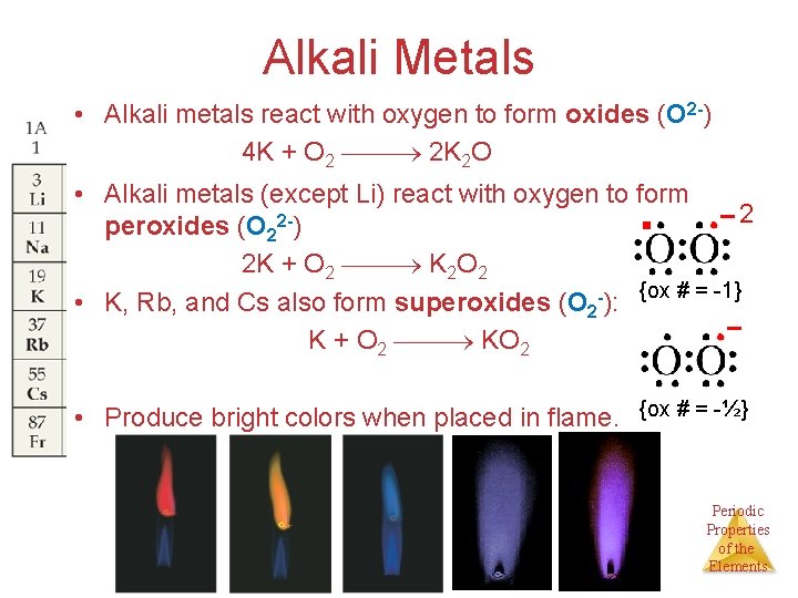 Alkali Metals • Alkali metals react with oxygen to form oxides (O 2 -)