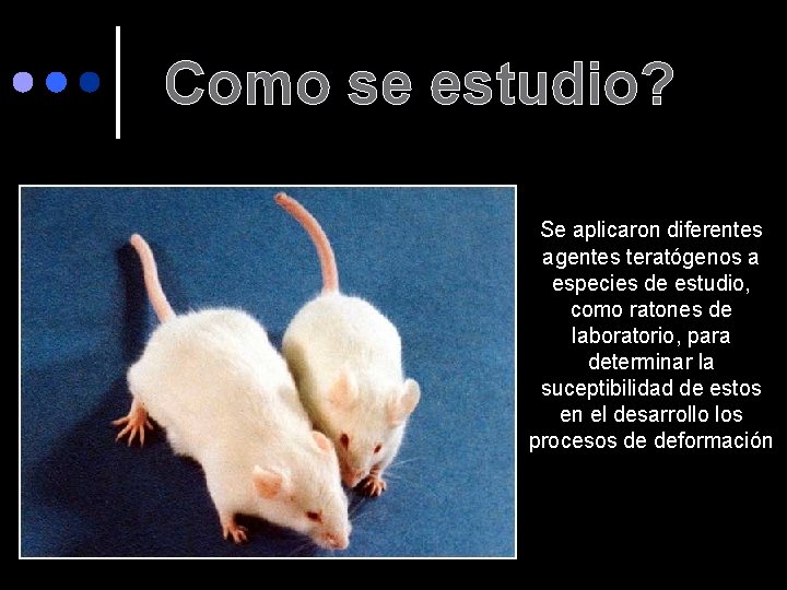 Como se estudio? Se aplicaron diferentes agentes teratógenos a especies de estudio, como ratones