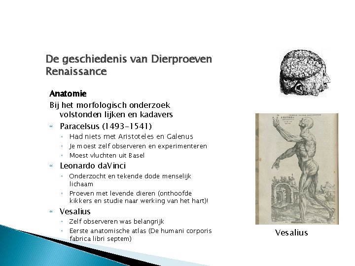 De geschiedenis van Dierproeven Renaissance Anatomie Bij het morfologisch onderzoek volstonden lijken en kadavers