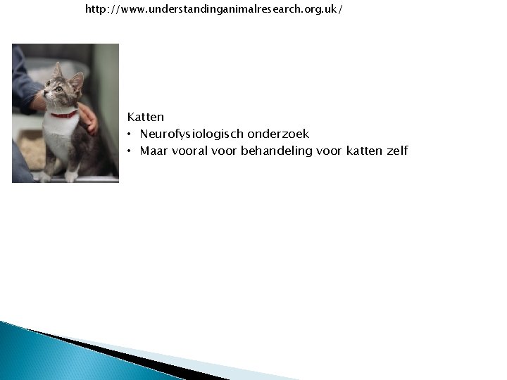 http: //www. understandinganimalresearch. org. uk/ Katten • Neurofysiologisch onderzoek • Maar vooral voor behandeling