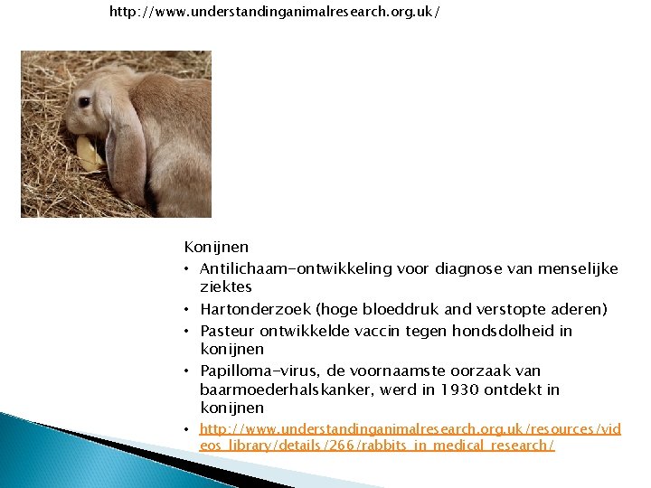 http: //www. understandinganimalresearch. org. uk/ Konijnen • Antilichaam-ontwikkeling voor diagnose van menselijke ziektes •