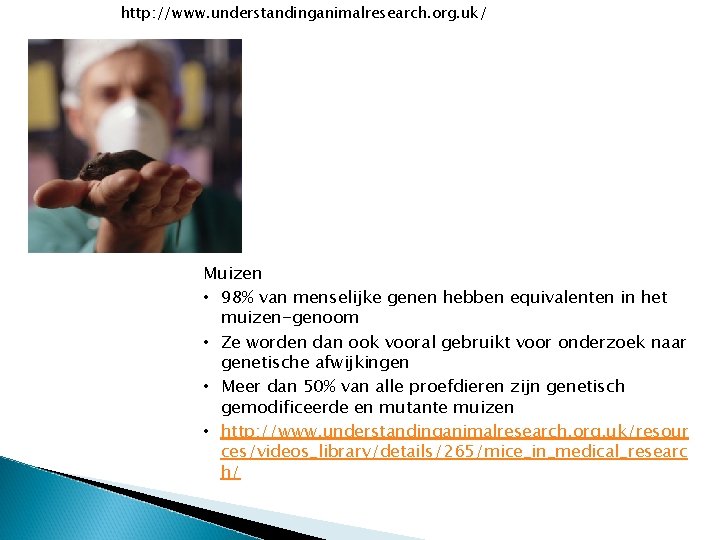 http: //www. understandinganimalresearch. org. uk/ Muizen • 98% van menselijke genen hebben equivalenten in