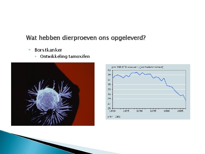 Wat hebben dierproeven ons opgeleverd? Borstkanker ◦ Ontwikkeling tamoxifen 