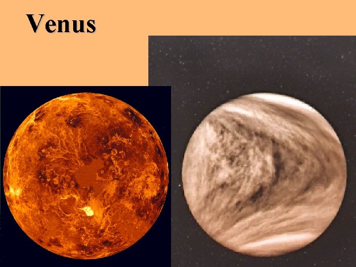 Venus 