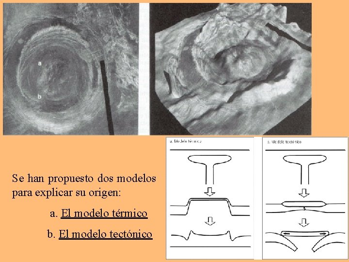 Se han propuesto dos modelos para explicar su origen: a. El modelo térmico b.