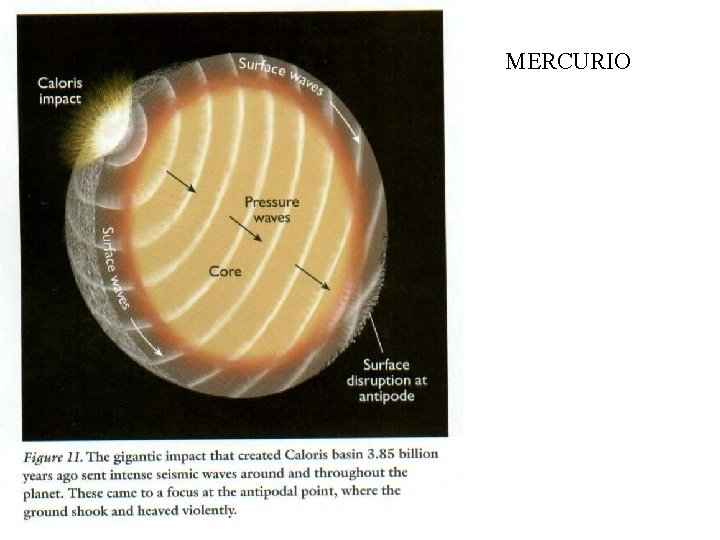 MERCURIO 