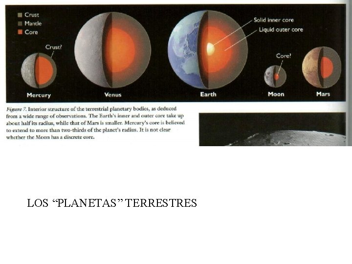 LOS “PLANETAS” TERRESTRES 