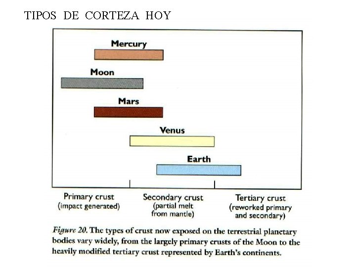 TIPOS DE CORTEZA HOY 