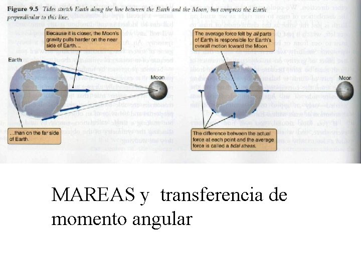 MAREAS y transferencia de momento angular 