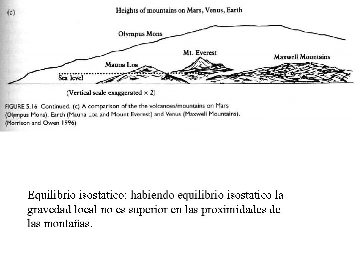 Equilibrio isostatico: habiendo equilibrio isostatico la gravedad local no es superior en las proximidades