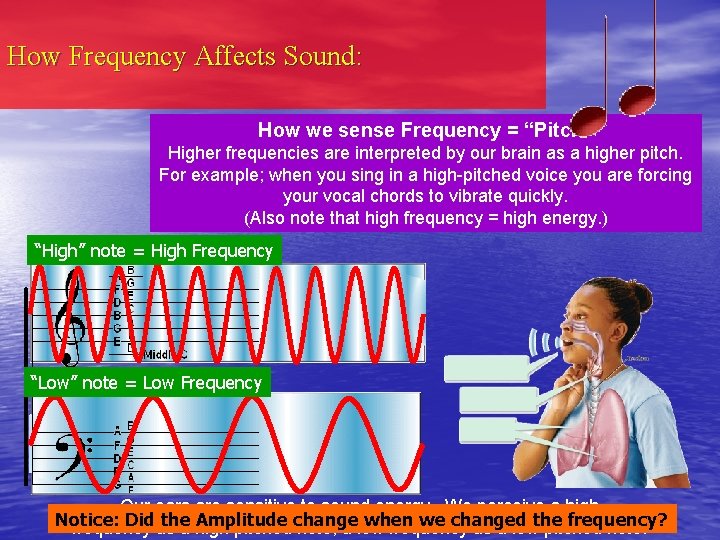 How Frequency Affects Sound: How we sense Frequency = “Pitch” Higher frequencies are interpreted