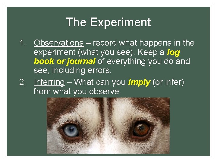 The Experiment 1. Observations – record what happens in the experiment (what you see).